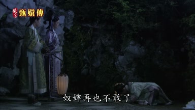 奴婢再也不敢了