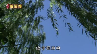 照面的