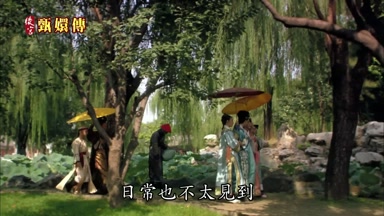 日常也不太見到