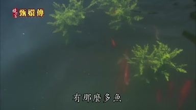 有那麼多魚
