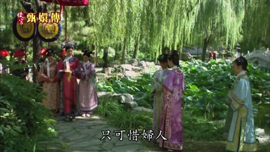 只可惜婦人向