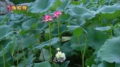 是啊