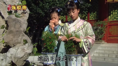 這幾日倒是怪了