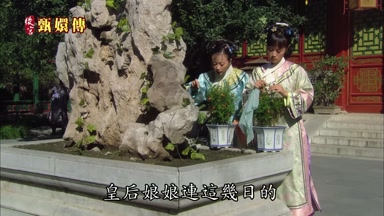 皇后娘娘連這幾日的