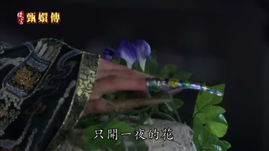只開一夜的花