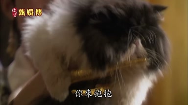 你來抱抱
