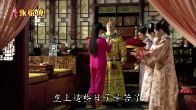 皇上這些日子辛苦了