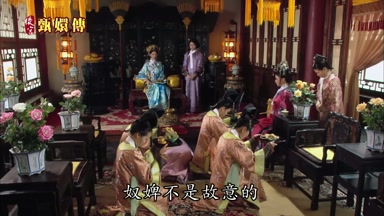 奴婢不是故意的