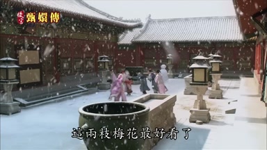 這兩枝梅花最好看了