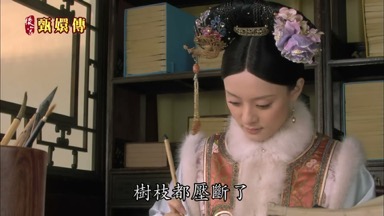 雪下得這麼大樹枝都壓斷了