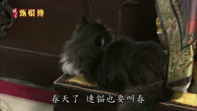 春天了連貓也要叫春