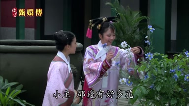 小主那邊有好多花