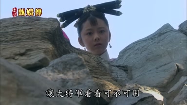 讓大將軍看看可不可用