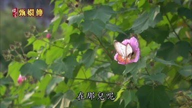在那兒呢
