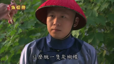 這麼醜一隻灰蝴蝶
