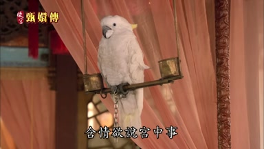 含情慾說宮中事
