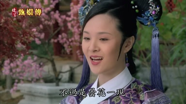 不過是曇花一現