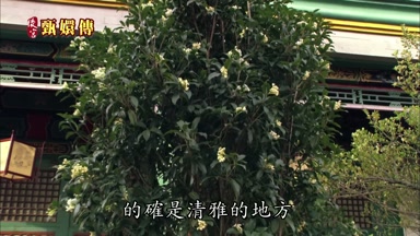 的確是清雅的地方
