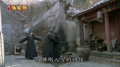 奴婢剛入宮的時候