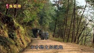 方纔聽太妃說起