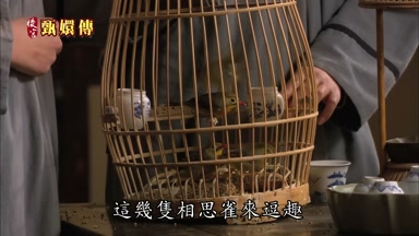 這幾隻相思雀來逗趣