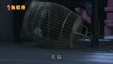 有貓