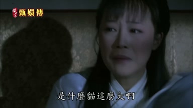 是什麼貓這麼大啊