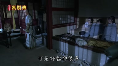 可是野貓卻很多