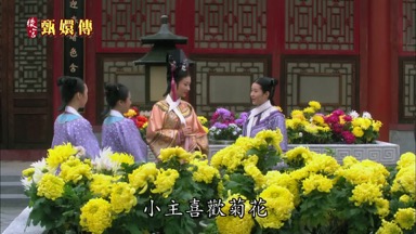 小主喜歡菊花