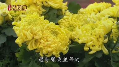 還有那朵並蒂的