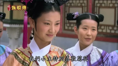 我們小主特別喜歡菊花