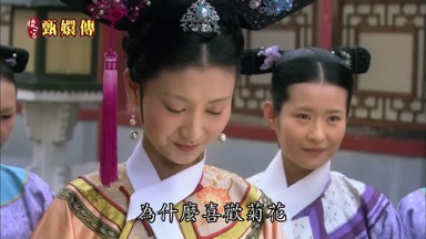 為什麼喜歡菊花