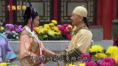 再挑好的菊花來給你瞧