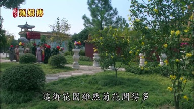 這御花園雖然菊花開得多