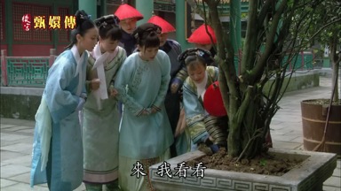 來來來我看看
