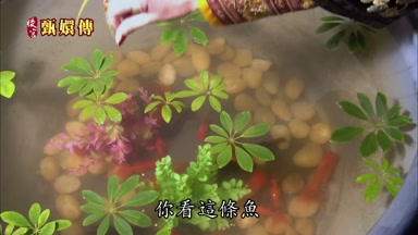 你看這條魚