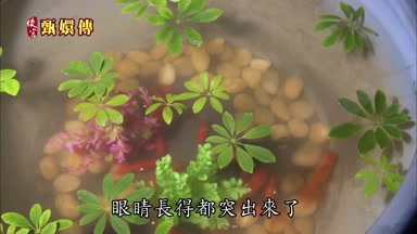 眼睛長得都突出來了