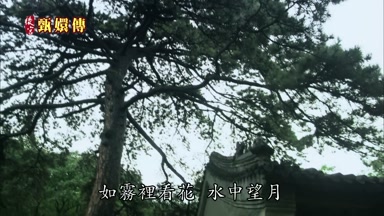如霧裏看花水中望月