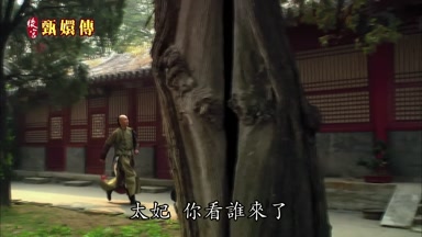 太妃你看誰來了