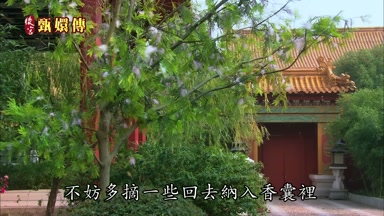 不妨多摘一些回去納入香囊裏