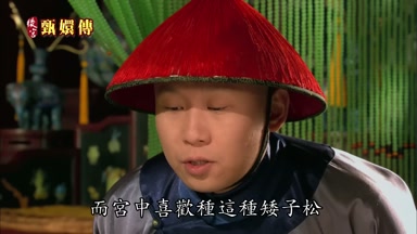 而宮中喜歡種這種矮子松