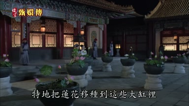特地把蓮花移種到這些大缸裏