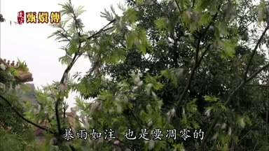 暴雨如注也是要凋零的