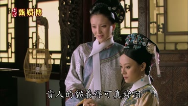 貴人的貓養得可真好啊