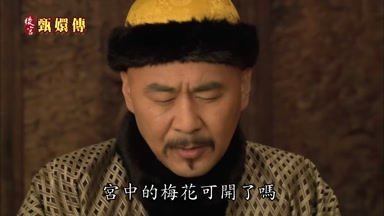 宮中的梅花可開了嗎