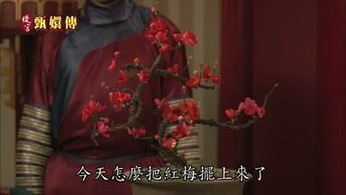今天怎麼把紅梅擺上來了