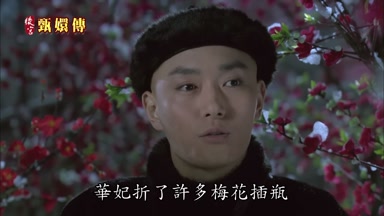 華妃折了許多梅花插瓶