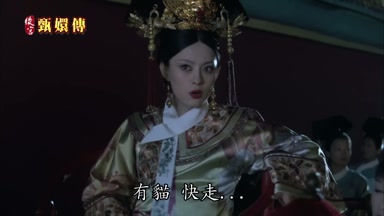 有貓快走快走快走