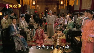 皇上奴婢不是有心的
