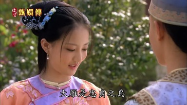 大雁是忠貞之鳥